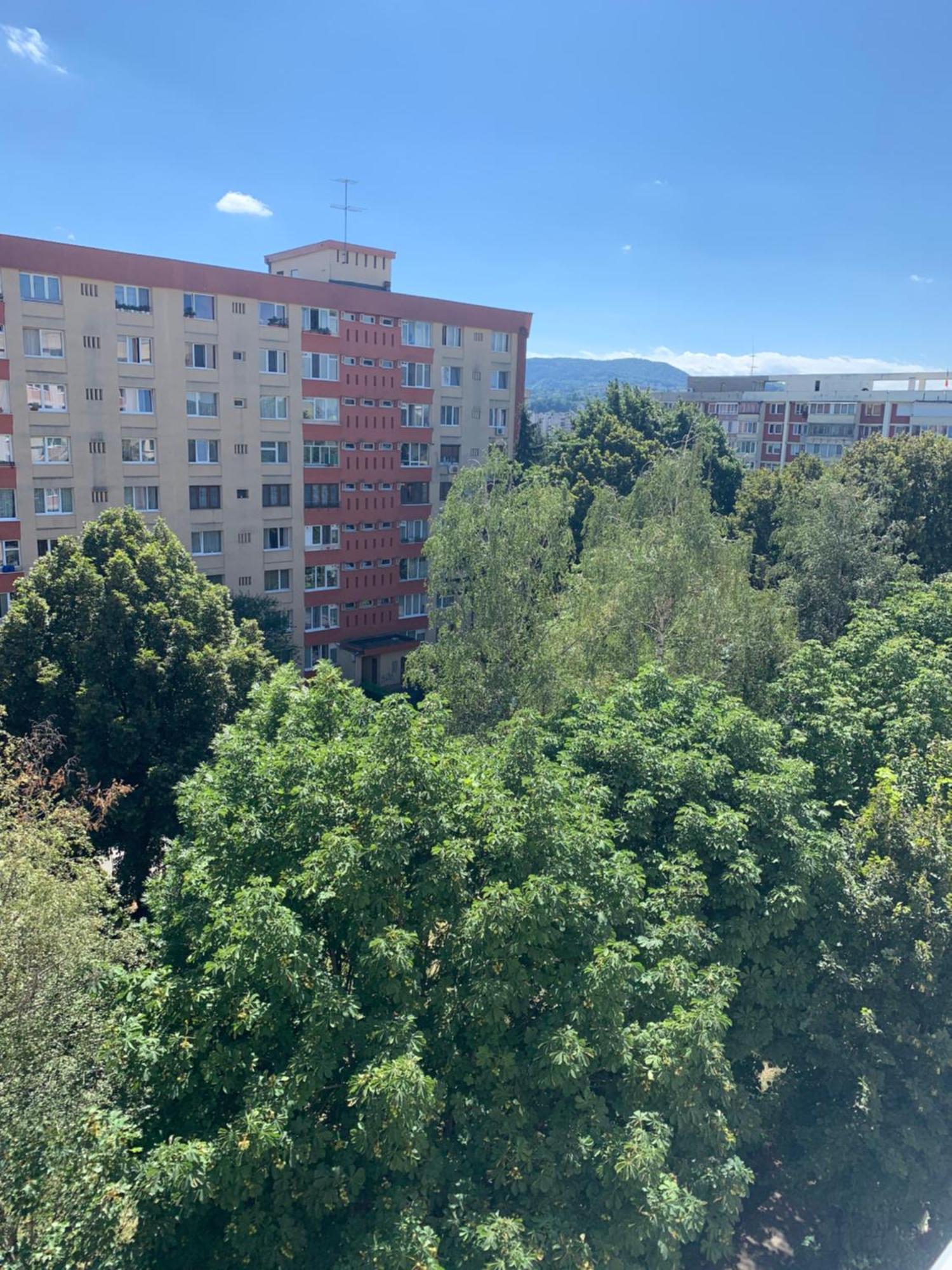 Victoriei Boulevard Private Apartment Брашов Екстериор снимка